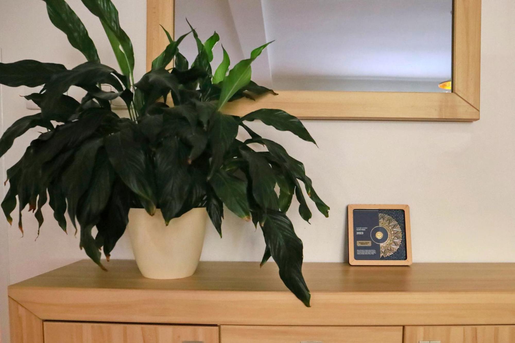 Apartmany Na Sumave Kasperske Hory Εξωτερικό φωτογραφία